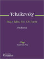 Swan Lake, No. 13: Scene