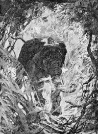 Title: The Jungle Book, Illustrated, Author: Rudyard Kipling