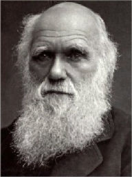 Title: The Effects of Cross and Self Fertilisation in the Vegetable Kingdom, Author: Charles Darwin