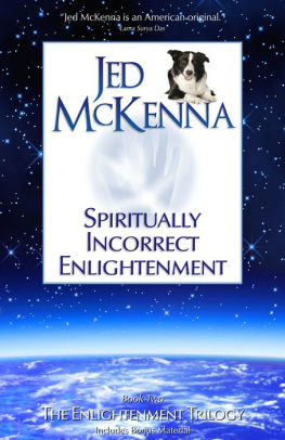 Spiritually Incorrect Enlightenment Mmxnook Book - 