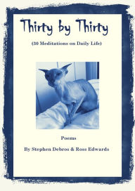 Title: Thirty by Thirty (30 meditations on daily life), Author: Stephen Debros