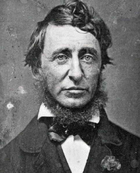 Thoreau: 5 books and 4 essays