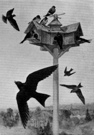 Title: Bird Houses Boys Can Build, Illustrated, Author: Albert Siepert