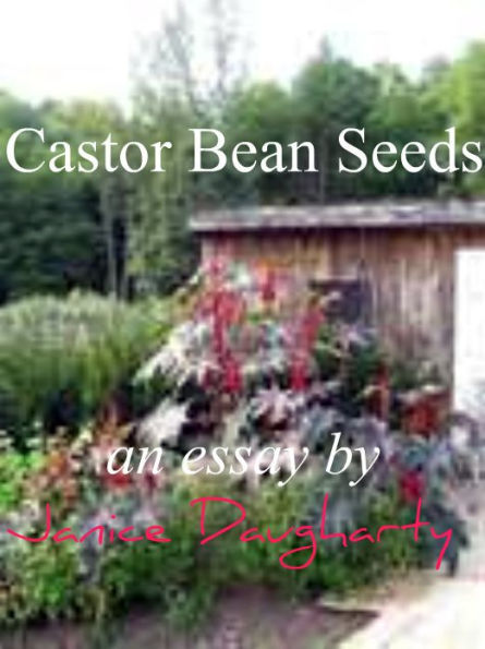 Castor Bean Seeds