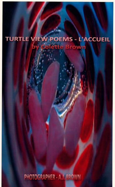 Turtle View Poems: L