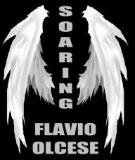 Title: Soaring, Author: Flavio Olcese