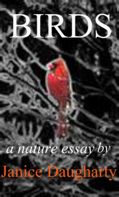 write an essay on bird migration