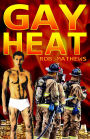 Gay Heat