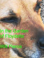 In the Garden of Floydette