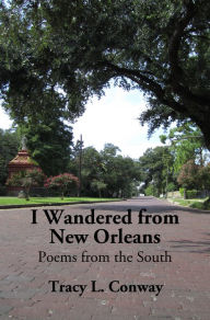 Title: I Wandered from New Orleans: Poems from the South, Author: Tracy L. Conway