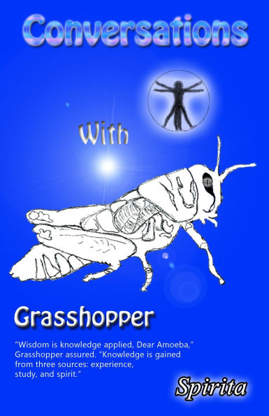 Conversations With Grasshopper