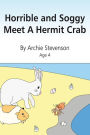 Horrible and Soggy Meet A Hermit Crab