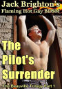 The Pilot's Surrender