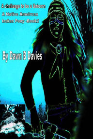 Title: A Challenge to be a Unicorn, A Native American Indian Pony book 2, Author: Dawn B Davies