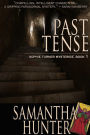 Past Tense, Sophie Turner Mysteries, Book One