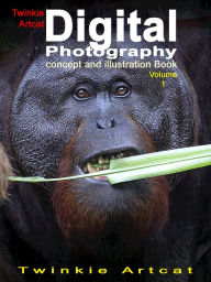 Title: Twinkie Artcat Digital Photography Concept And Illustration Book, Volume 1, Author: Twinkie Artcat