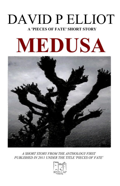 Medusa (Pieces of Fate, #3)