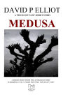 Medusa (Pieces of Fate, #3)