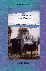 Title: A Promise Is A Promise-book 1-Nurse Hal Among The Amish, Author: Fay Risner