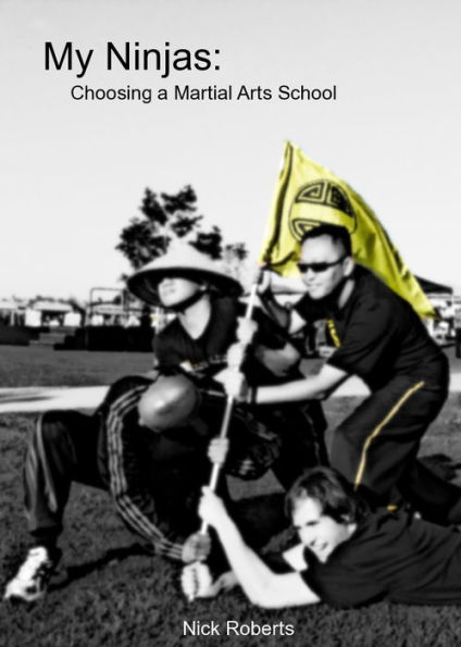 My Ninjas: Choosing A Martial Arts School