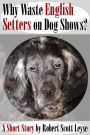 Why Waste English Setters on Dog Shows?