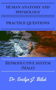 Title: Human Anatomy and Physiology Practice Questions: Reproductive System (Male), Author: Dr. Evelyn J Biluk