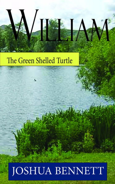William the Green Shelled Turtle