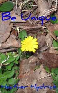Title: Be Unique, Author: Heather Hydrick