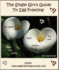 Title: The Single Girl's Guide To Egg Freezing, Author: EggFreezingSuccess Effsie