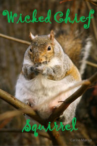 Title: Wicked Chief Squirrel, a Short Story for 9 year old children, Author: Carine Marius