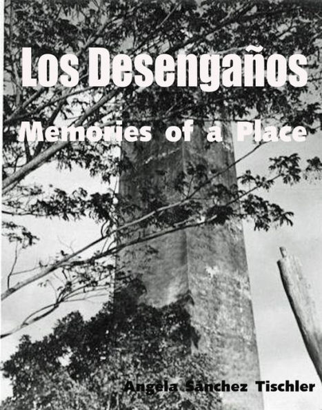 Los Desengaños