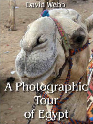 Title: A Photographic Tour of Egypt, Author: David Webb