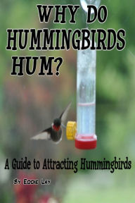 Title: Why Do Hummingbirds Humm?, Author: Eddie Lay