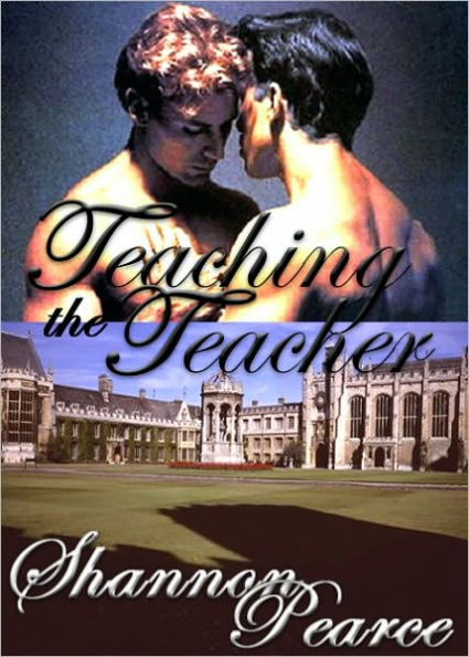 Teaching the Teacher