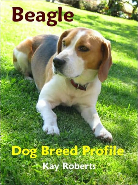 Beagle Dog Breed Profile