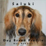 Saluki Dog Breed Profile