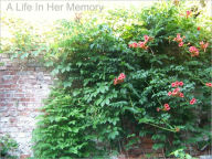 Title: A Life In Her Memory, Author: Heather Koontz Sprouse