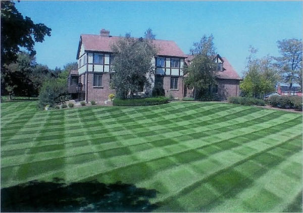 Lawn Care Service Start Up Sample Business Plan!