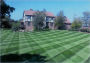 Lawn Care Service Start Up Sample Business Plan!