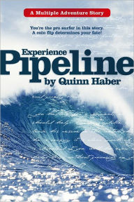 Title: Experience Pipeline, Author: Quinn Haber