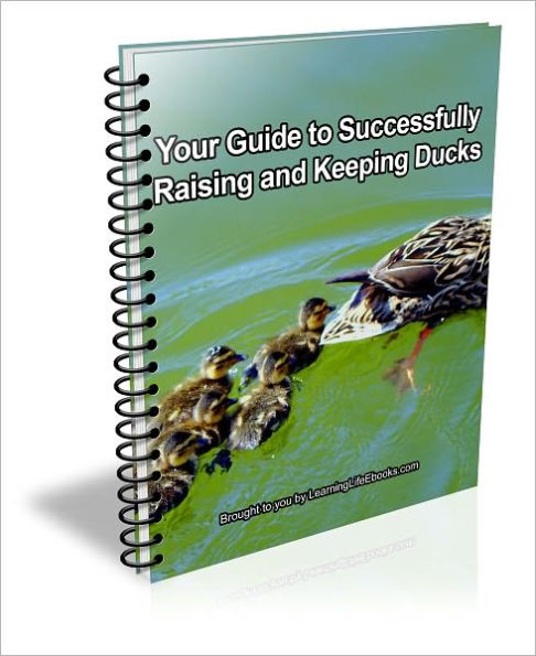 Your Guide to Successfully Raising and Keeping Ducks