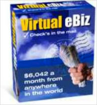 Title: Virtual Ebiz: $72,506.04 a Year Without a Product, Author: Kyle Hawkins