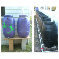 Title: Build an Extreme Green Rain Barrel, Author: Philip Rastocny