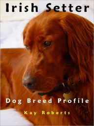Title: Irish Setter Dog Breed Profile, Author: Kay Roberts