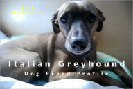 Title: Italian Greyhound Dog Breed Profile, Author: Kay Roberts