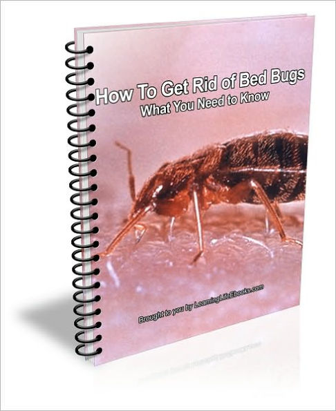 How To Get Rid of Bed Bugs: What You Need to Know
