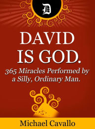 Title: David is God. 365 Miracles Performed by a Silly, Ordinary Man., Author: Michael Cavallo