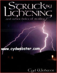 Title: Struck By Lightning and other bolts of reality, Author: Cyndie Webster
