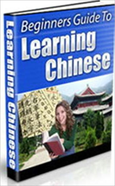 Beginners Guide To Learning Chinese