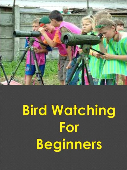 Bird Watching For Beginners